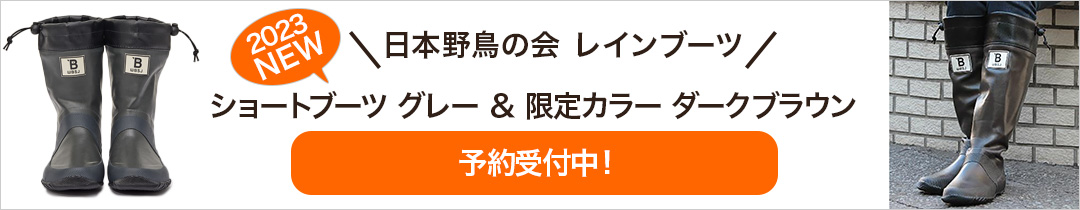 日本野鳥の会新作レインブーツ予約受付中