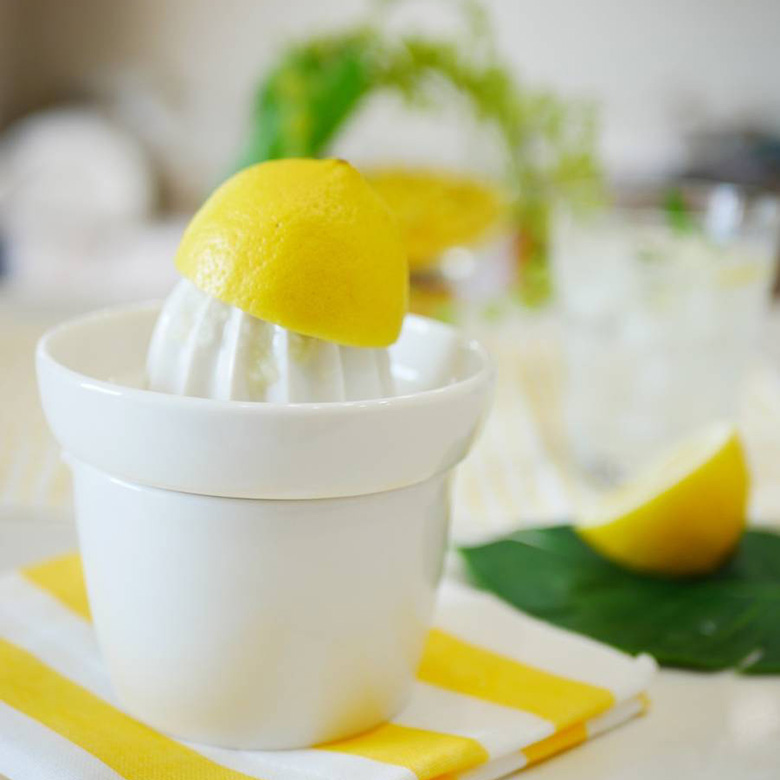 陶器製 レモン搾り